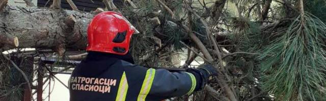 OTIŠAO JE PO DRVA, A ONDA GA JE ŽENA NAŠLA MRTVOG: Komšinica otkrila detalje nesreće kod Zaječera: Krov je popustio valjda od snega i sručio se na njega!