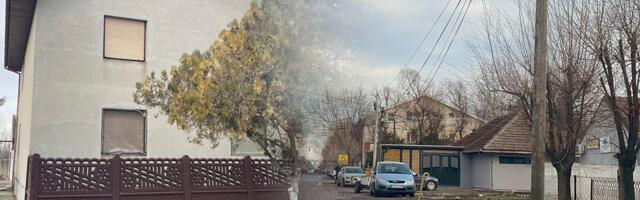 1200 METARA DO PAKLA! Otkrivena tajna rute ubice iz Žitišta: Uzeo pušku i vratio se da im PRESUDI za minut!