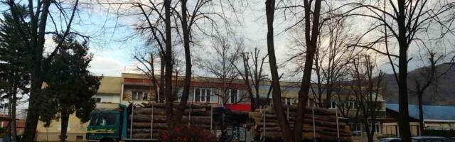 Direktor Šumskog gazdinstva u Leskovcu: Niko ne pljačka Kukavicu, kamioni su odvezli regularno ogrevno drvo