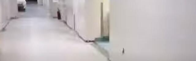 Obrušio se deo zida Klinike za infektivne i tropske bolesti