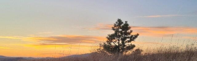 Temperature iznad proseka za kraj januara