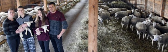 Mladi uzgajivači ovaca od Kragujevca do Čačka odlučili da udruže snage i osnuju zadrugu