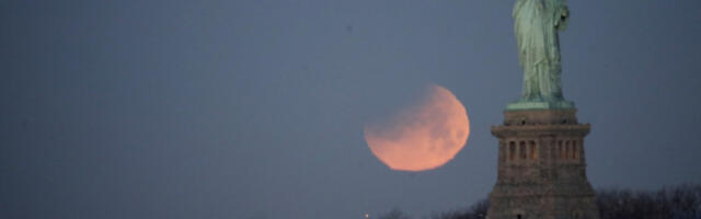 PAO KIP SLOBODE! (VIDEO)