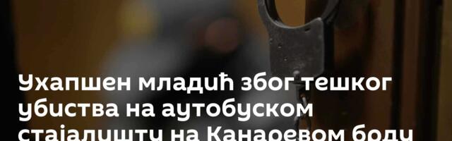 Ухапшен младић због тешког убиства на аутобуском стајалишту на Канаревом брду