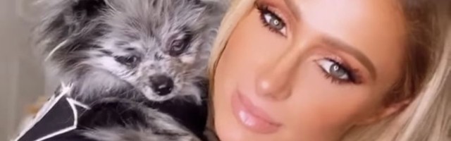 'Tako mogu da dobijem blizance': Paris Hilton išla na vantelesnu oplodnju kako bi zatrudnela