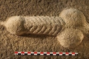 Римска камена скулптура пениса пронађена на северу Британије