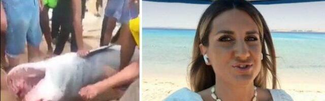 MNOGI MISLE DA JE AJKULA POJELA NESREĆNOG RUSA, ALI NIJE TAKO! Novinarka iz Hurgade otkriva EKSKLUZIVNE DETALJE (VIDEO)