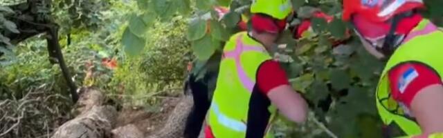 Novi Sad: Spasioci na Fruškoj gori kod Popovice izvukli muškarca koji je pao i povredio se (FOTO, VIDEO)