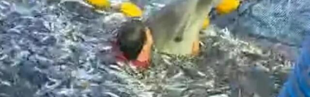Dražen skočio u more da spasi delfina: Ova dirljiva scena je lekcija svima o humanosti! (VIDEO)
