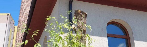 Džematski odbor Skender Kelebi (Melajske) džamije demantovao pisanje portala Indeksonline.rs