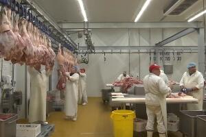 Цена прасећег меса удвостручена, зашто произвођачи све више одустају од узгоја свиња