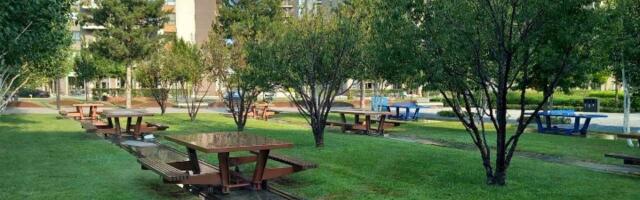 Vagić (SSP): Da li je trava u Beogradu na vodi bitnija za SNS od građana Grocke