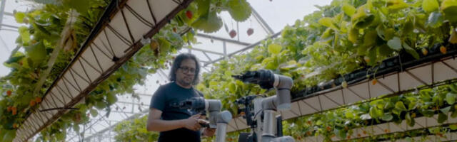 Револуција у пољопривреди: британски роботи беру, мере и пакују воће