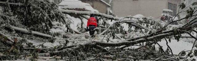 U Malom Zvorniku bez struje 280 domaćinstava: Sve ekipe su na terenu!