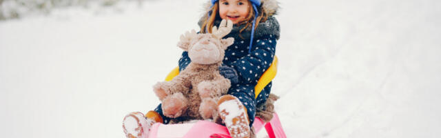 Канцеларија за КиМ организује зимовање на Тари за децу са Косова