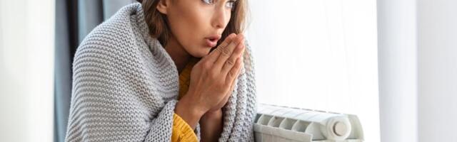 Žena umanjila račun za struju jeftinim cakama za grejanje: Provereno rade posao, a uštedećete