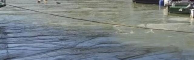 AKO SKAČETE U TAMIŠ PO ČASNI KRST, OBRATITE PAŽNJU! Snimak ledi krv u žilama: "Nikad tako nije bilo" (VIDEO)