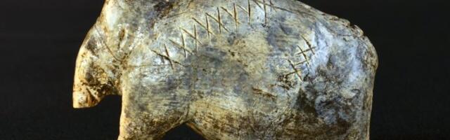 Prvi zapisi su možda 40.000 godina stariji nego što se verovalo