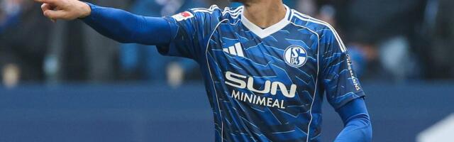 Edin Džeko završava karijeru ukoliko se Šalke vrati u Bundesligu!? (Foto)