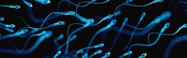 Ćelije nastavljaju da proizvode spermatozoide i nakon dve decenije u zamrzivaču