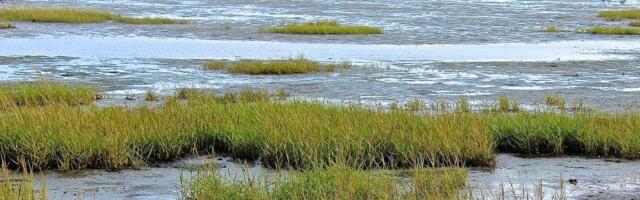 Porast nivoa mora preti obali Severnog mora