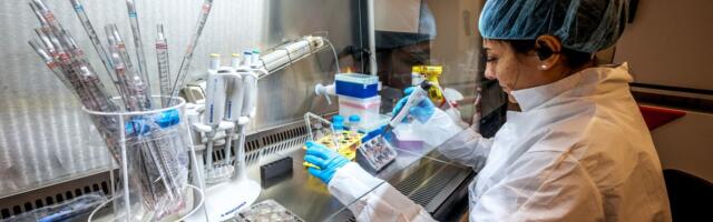 Naučnici u Švajcarskoj prave MINI MOZGOVE! Spremaju revoluciju u upotrebi kompjutera i AI