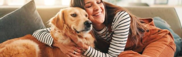 Zlatni retriver je zvezda frizerskog salona: Nećete verovati šta radi - snimak je hit (VIDEO)