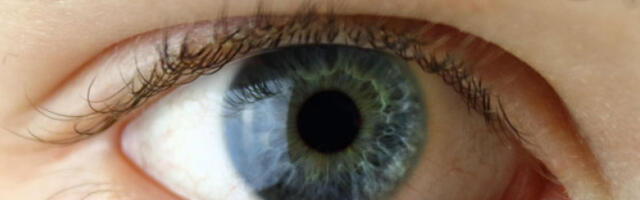 Шпански научници развили вештачку рожњачу од рибљих крљушти