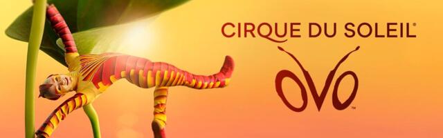 SVETSKA SENZACIJA JE GRADU! Cirque du Soleil zvanično stigao u Beograd: Od 7. do 10. maja predstava “OVO” u Beogradskoj areni