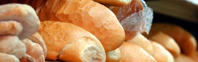 Ovako se čuva hleb na visokim temperaturama - produžite mu rok trajanja