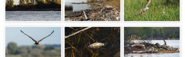 Otvorena foto-izložba „Najzeleniji primeri Zapadnog Balkana“