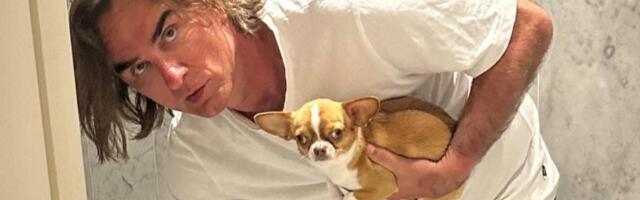 Garderober psa Željka Mitrovića vredi bogatstvo: Čivava nosi skupoceni nakit i brendiranu odeću, to nije sve