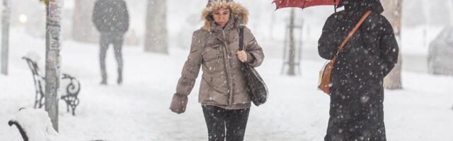 Januarski rolerkoster, biće i do 12 stepeni, a onda opet tonemo u minus: Snažno zahlađenje i sneg stižu ovog datuma