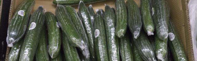 Da li znate zašto su neki krastavci umotani u plastičnu foliju? Sve ih je više na rafovima, a ovo je razlog