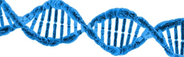 Muškarci sa godinama gube Y hromozom - posledice mogu biti ozbiljne