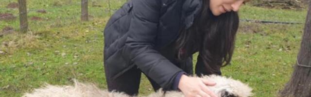 SRBI JE OBOŽAVALI, A ONA NA VRHUNCU KARIJERE NAPUSTILA SVE: Sad radi sve seoske poslove, promenila život iz korena