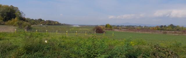 JAVNA RASPRAVA O CENI POREZA NA IMOVINU