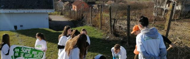 SBB Foundation continues tree planting project