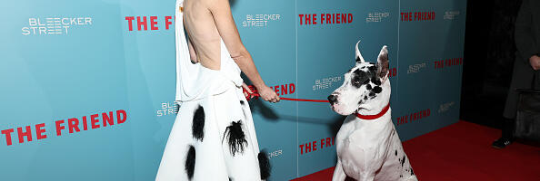 Naomi Vots i doga Bing donose nam The Friend, duboku dramu o gubitku i prijateljstvu