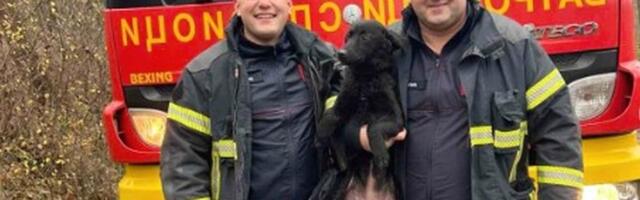 Neverovatna akcija kod Sopota! Dvojica hrabrih vatrogasaca su iz bunara dubokog 20 metara izvukli njega