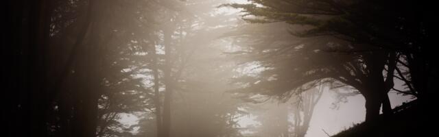 RHMZ objavio šta nas čeka u toku noći: Obratite pažnju na maglu u ovim delovima Srbije