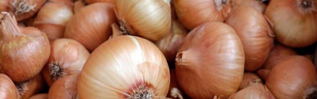 Kako da luk što duže ostane svež?