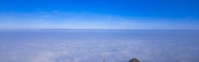Čudo na Vršačkom bregu: Krišom pokušale da pobegnu, a onda uradile ovo (VIDEO)