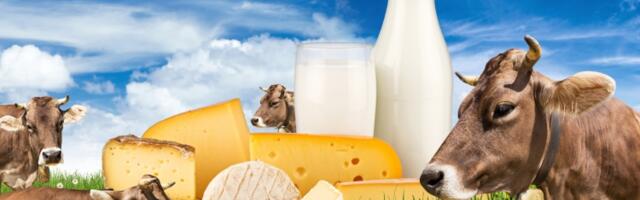 Kravlji sir pobeđuje masne naslage