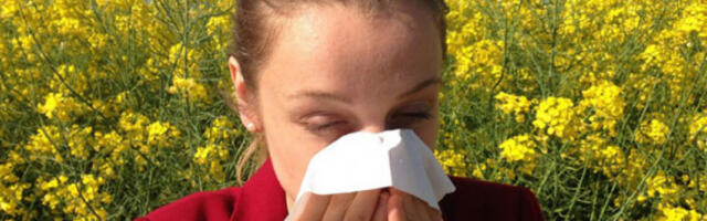 Почели проблеми са алергијама