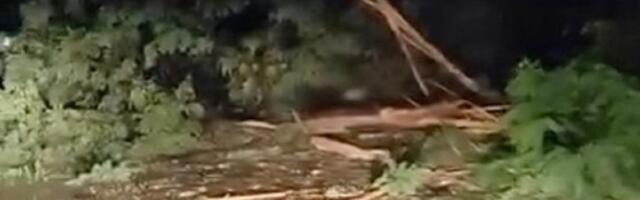 Grom napravio haos kod Čačka: Pregoreli aparati, oluja pokidala drveće (FOTO, VIDEO)