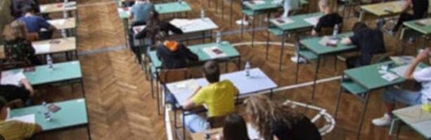 Danas počinje raspust za sve osnovce i srednjoškolce