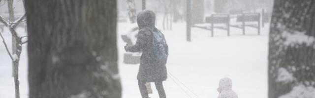 Temperatura pada na minus 10, sneg će zavejati celu Srbiju - tačno ovog dana: Olujni vetar će udarati kao lud