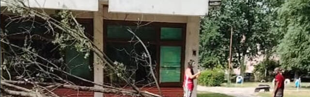 Velika grana pala u dvorištu niškog vrtića „Leptirić“, nema povređenih