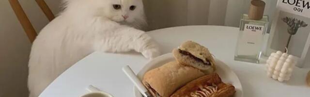 Kako se nositi sa nekontrolisanim osećajem gladi tokom zime